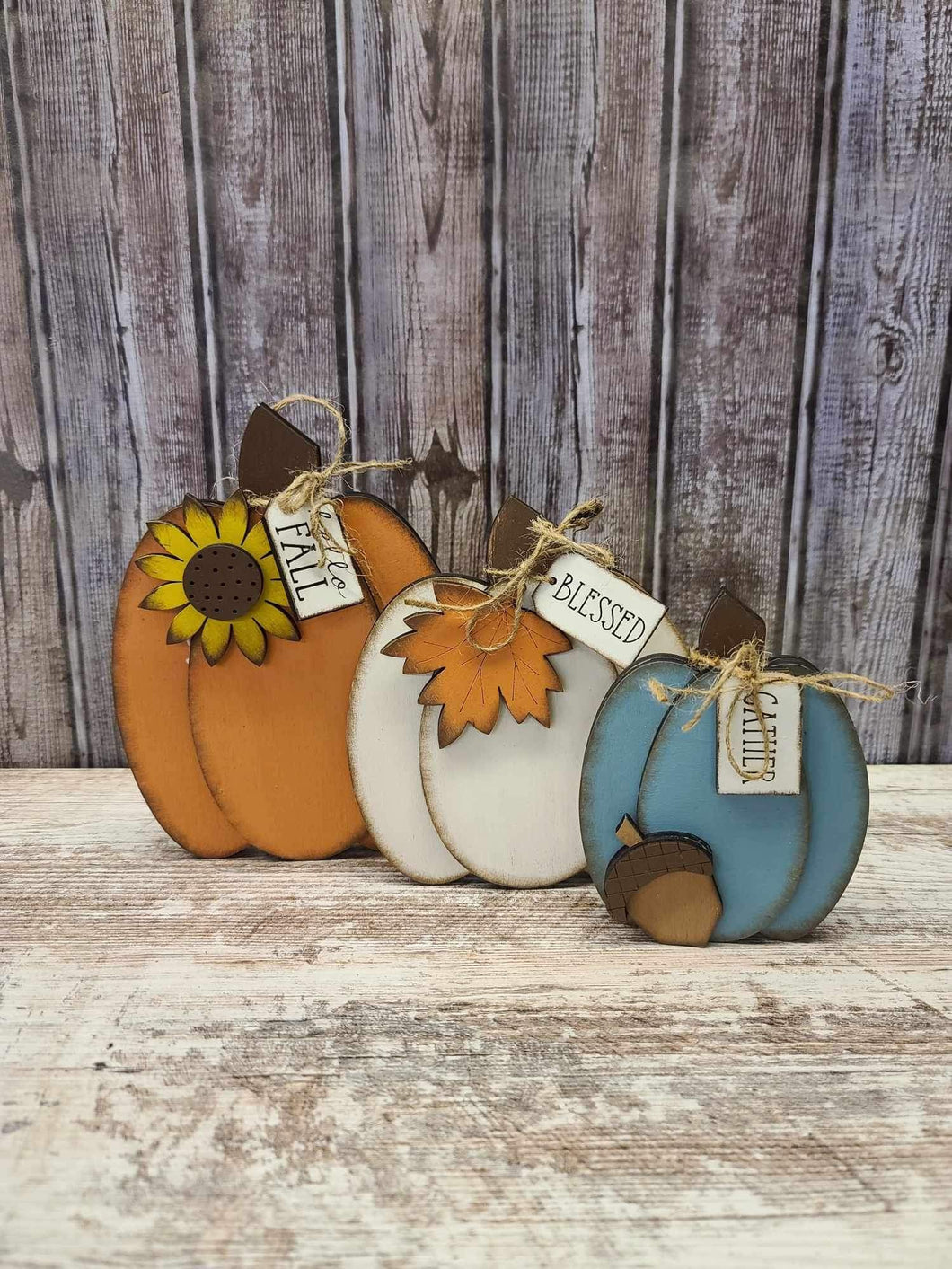 Pumpkin trio (orange, cream and teal)